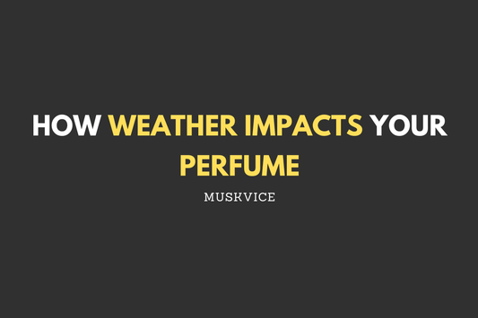 How Weather Impacts Your Perfume - Muskvice