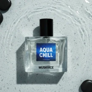 AQUA CHILL INSPIRED BY COOL WATER DAVID OFF